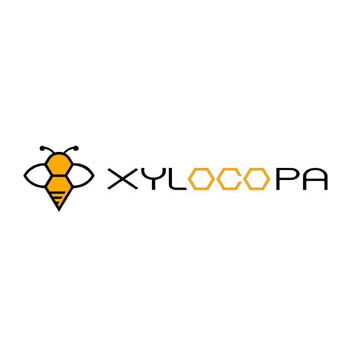 株式会社XYLOCOPA
