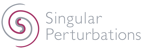 株式会社Singular Perturbations
